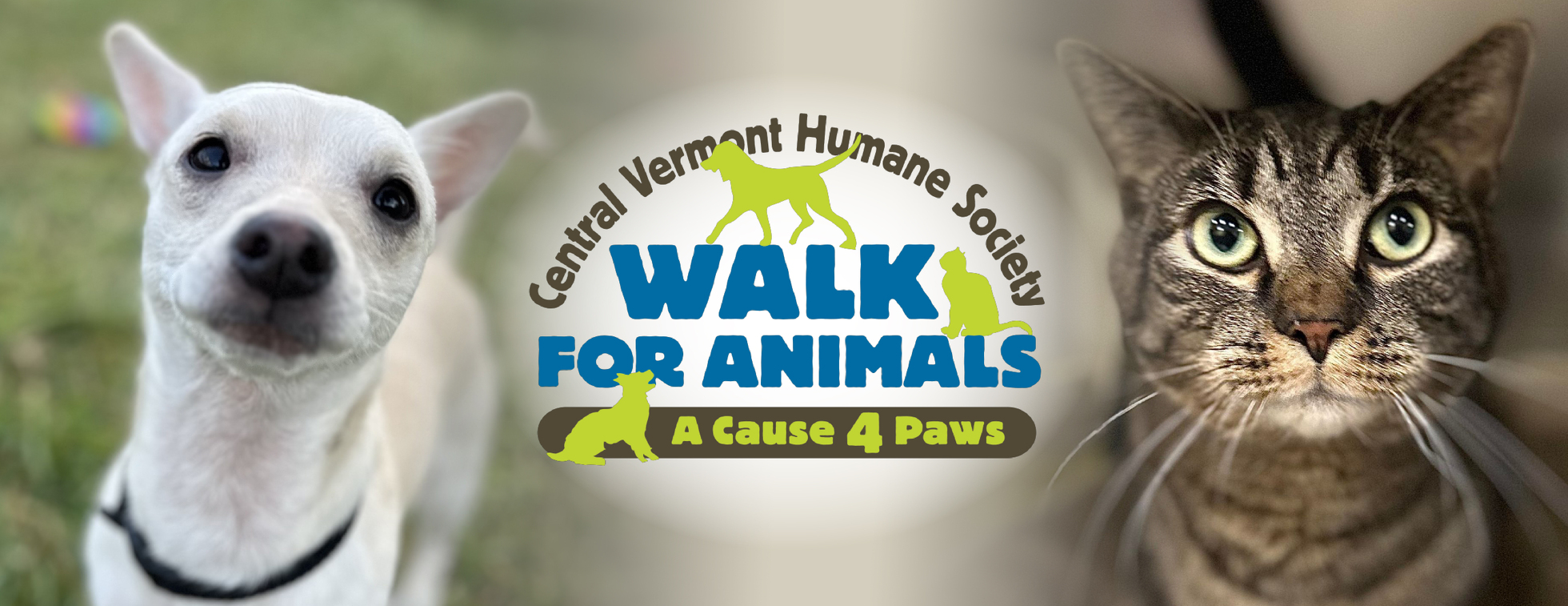 CVHS Walk for Animals 2023